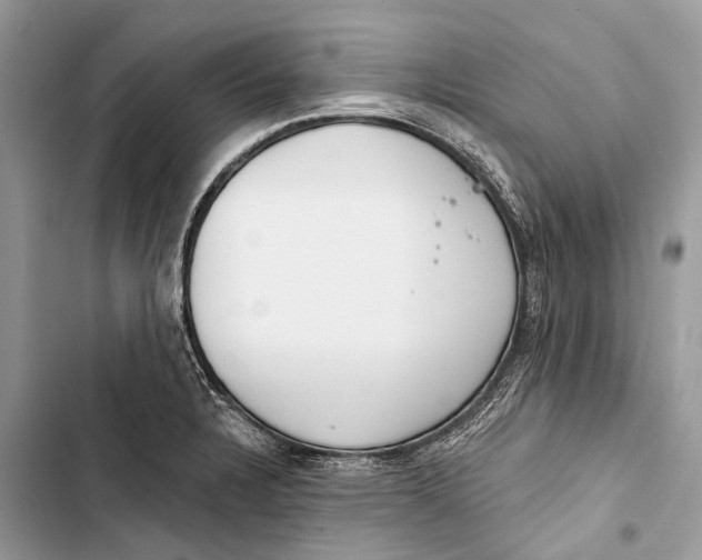 X0000103461328200810031449