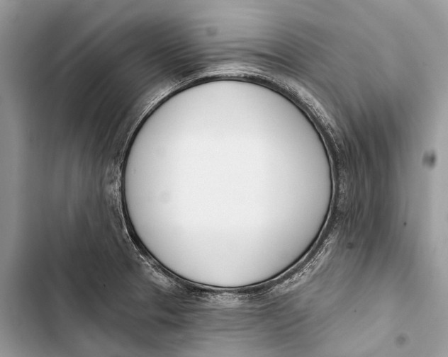 X0000103461329200810031449