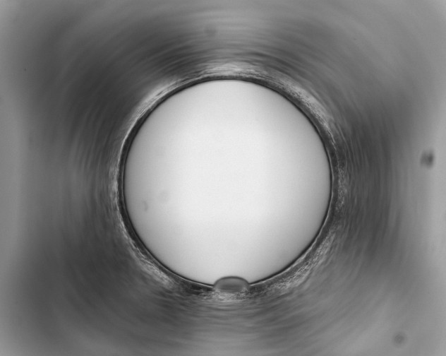 X0000103461330200810031449