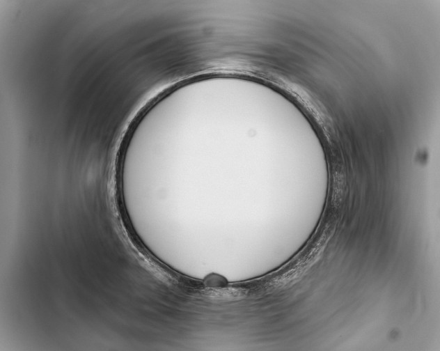 X0000103461331200810031449