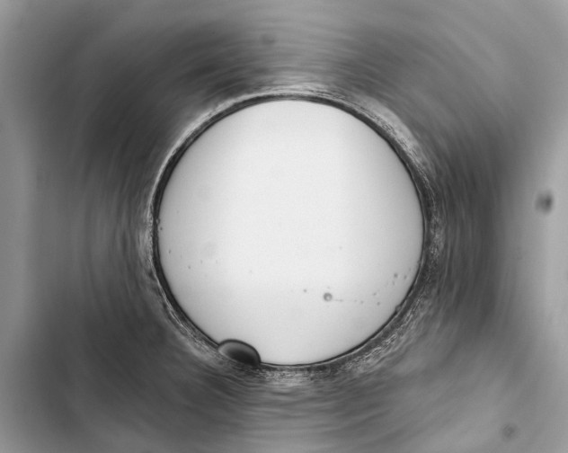 X0000103461332200810031449