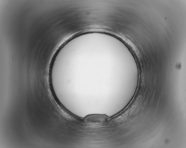 X0000103461333200810031449