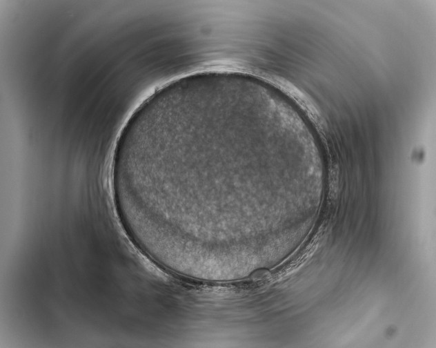 X0000103461334200810031449