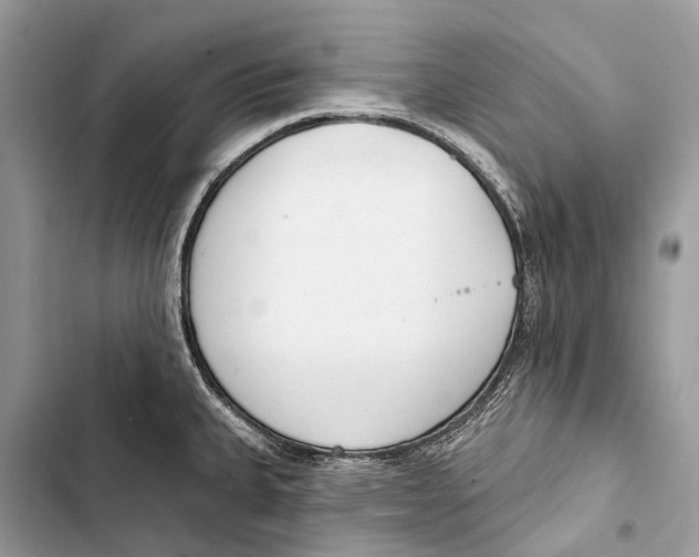 X0000103461335200810031449