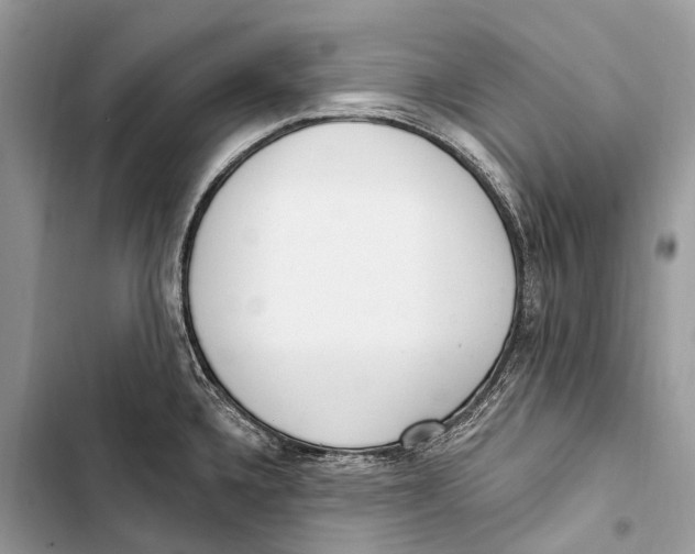 X0000103461336200810031449