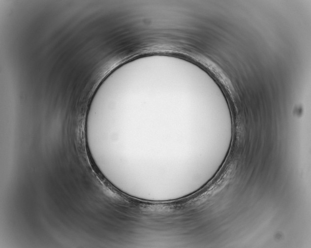 X0000103461337200810031449