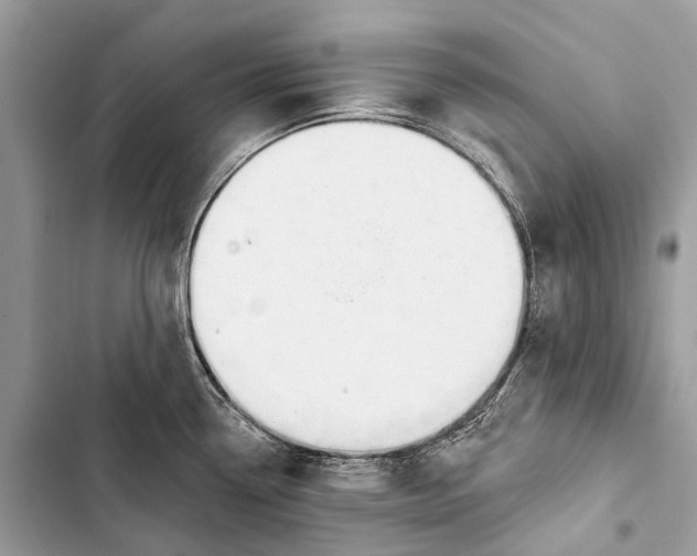 X0000103461338200810031449