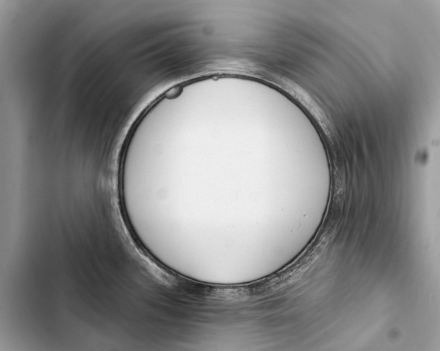 X0000103461339200810031449