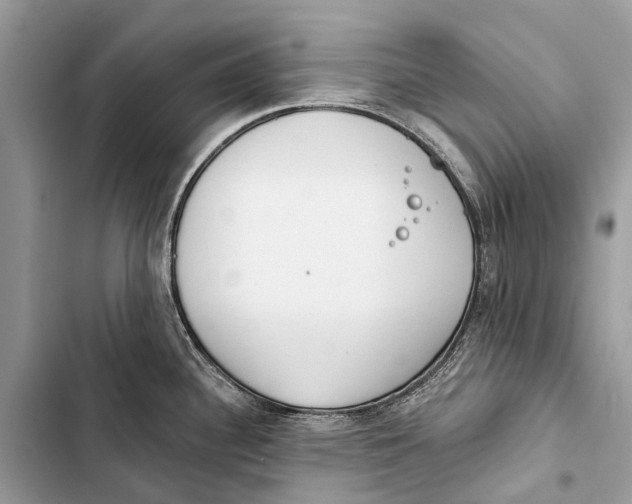 X0000103461340200810031449