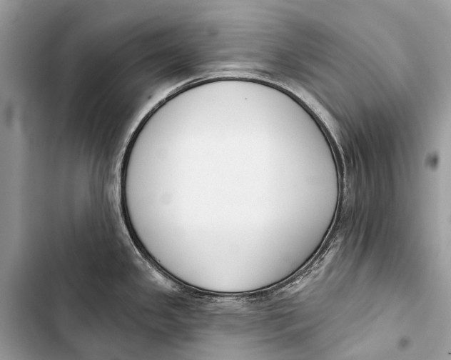 X0000103461341200810031449