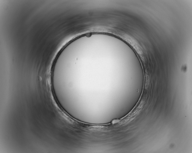 X0000103461342200810031449