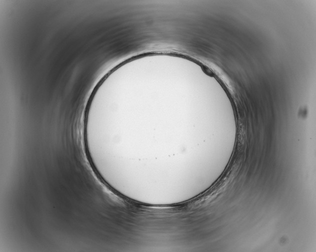 X0000103461343200810031449