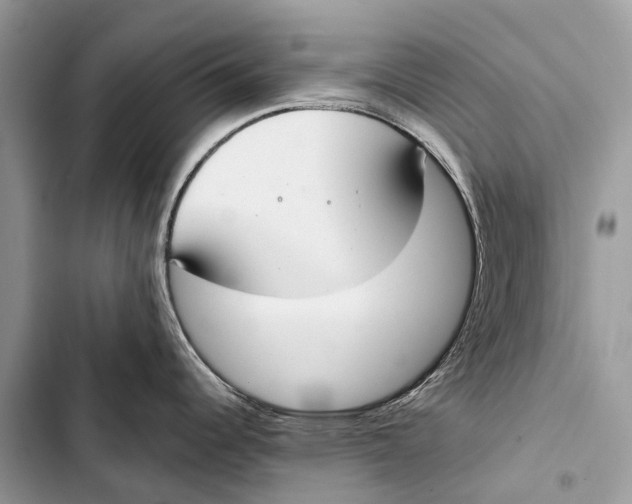 X0000103461344200810031449