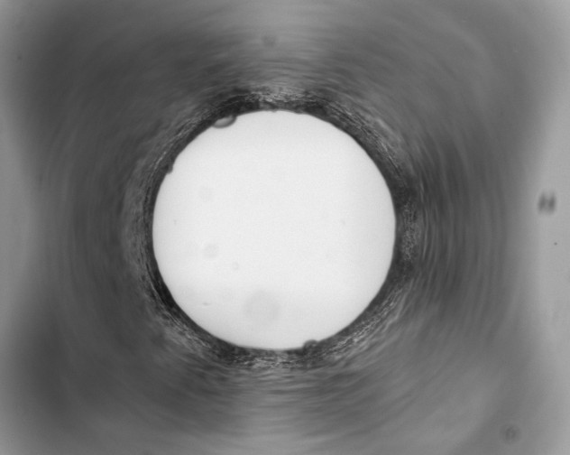 X0000103461345200810031449