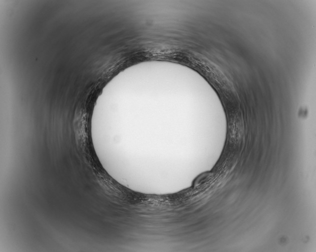 X0000103461346200810031449