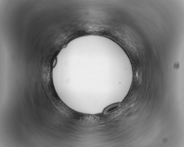 X0000103461348200810031449