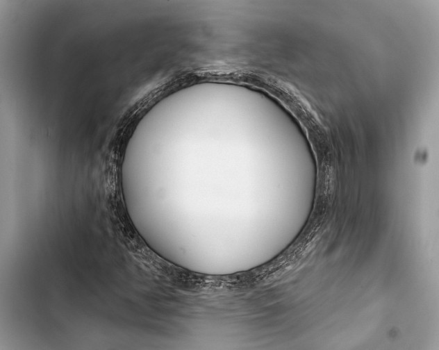 X0000103461350200810031449