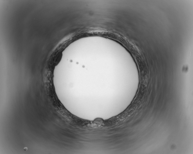 X0000103461351200810031449