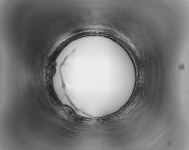 X0000103461352200810031449