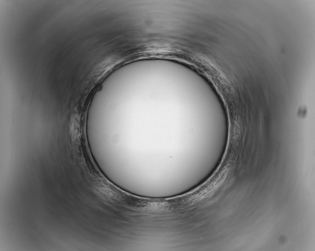 X0000103461353200810031449