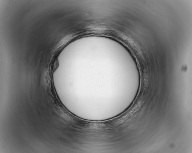 X0000103461354200810031449