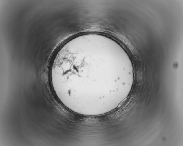 X0000103461356200810031449