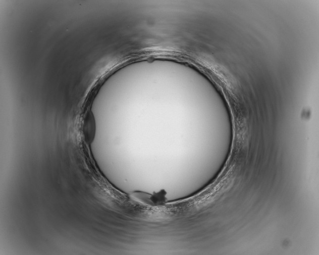 X0000103461357200810031449