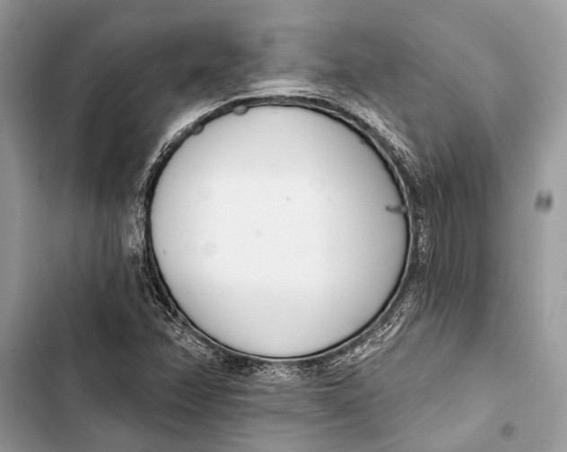 X0000103461358200810031449