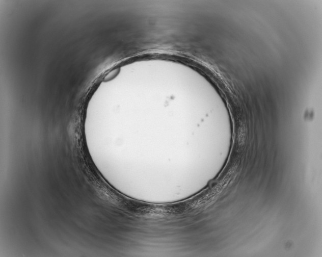 X0000103461359200810031449