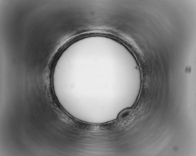 X0000103461360200810031449