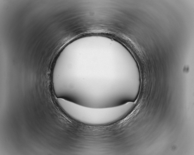 X0000103461361200810031449