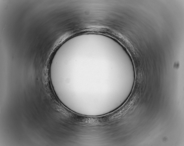 X0000103461362200810031449