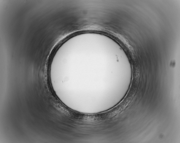 X0000103461364200810031448