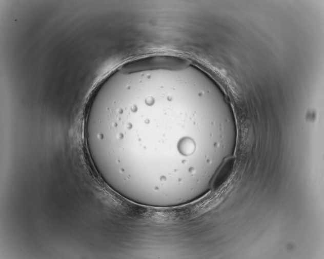 X0000103461365200810031448