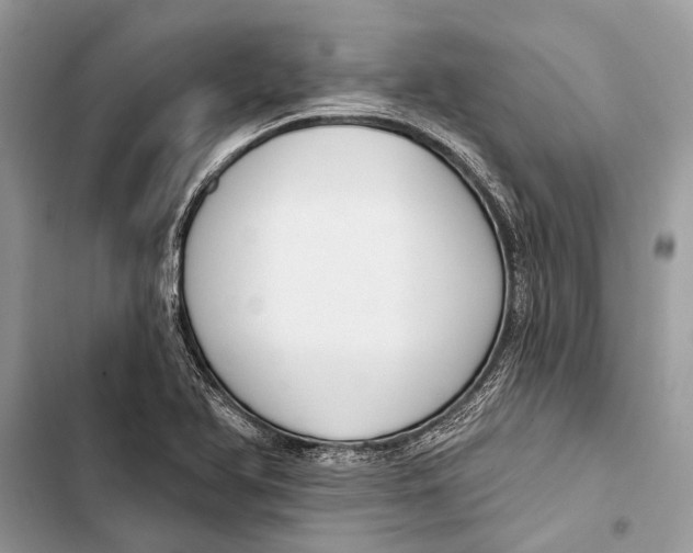 X0000103461366200810031448