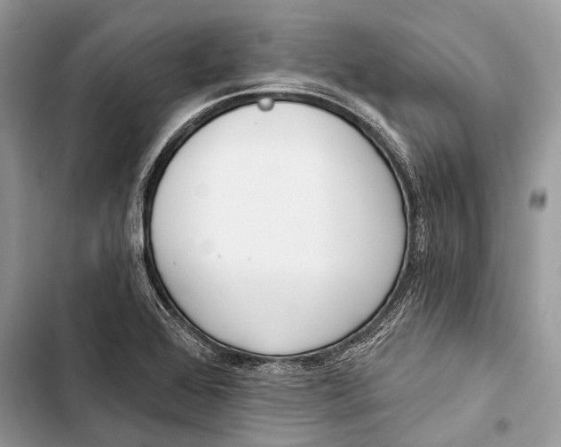 X0000103461368200810031448