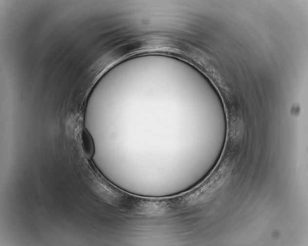 X0000103461369200810031448