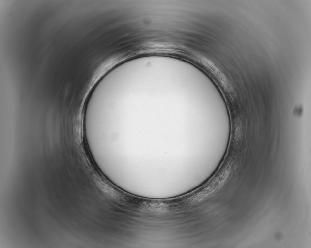 X0000103461370200810031448