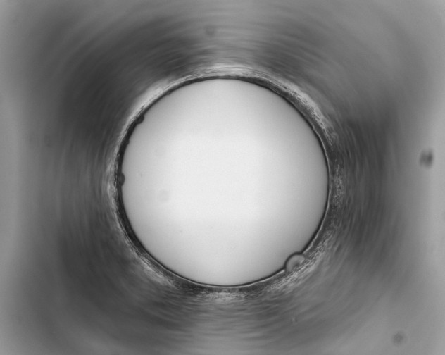 X0000103461373200810031448