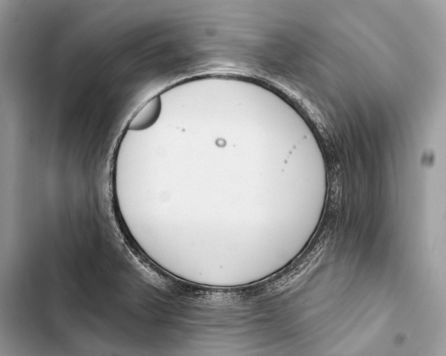 X0000103461375200810031448