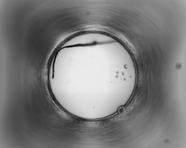 X0000103461376200810031448