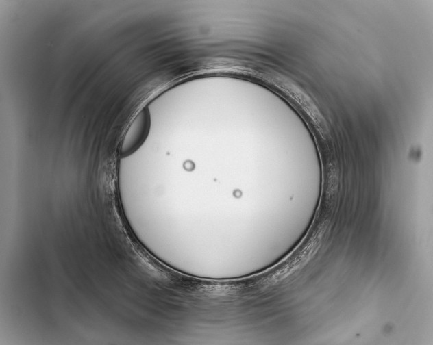 X0000103461377200810031448