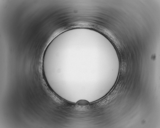 X0000103461378200810031448