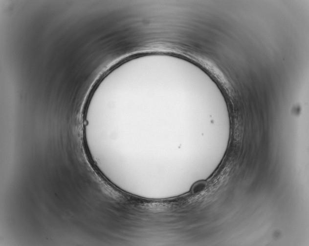 X0000103461380200810031448