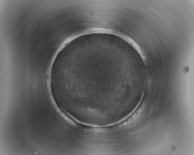 X0000103461381200810031448