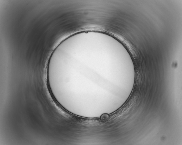 X0000103461383200810031448