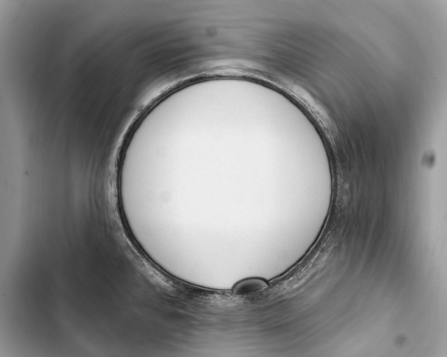 X0000103461384200810031448