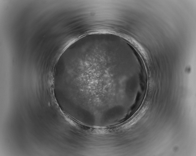 X0000103461385200810031448