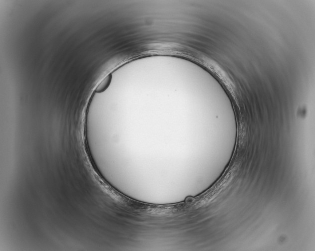 X0000103461386200810031448