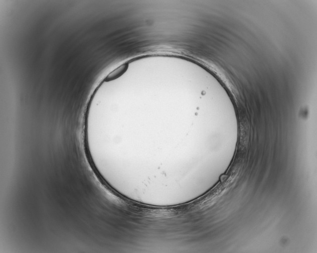 X0000103461387200810031448